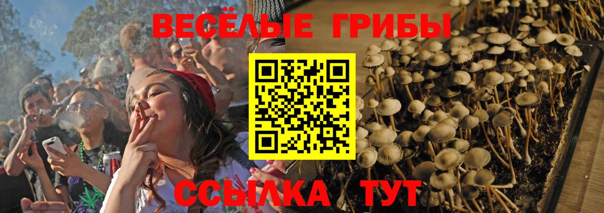 Нурлат  цена наркотик  Вход с VPN  Галлюциногенные грибы GOLDEN TEACHER 